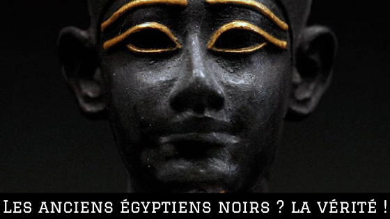 Les anciens gyptiens sont noirs ou blancs Egypte Antique shop